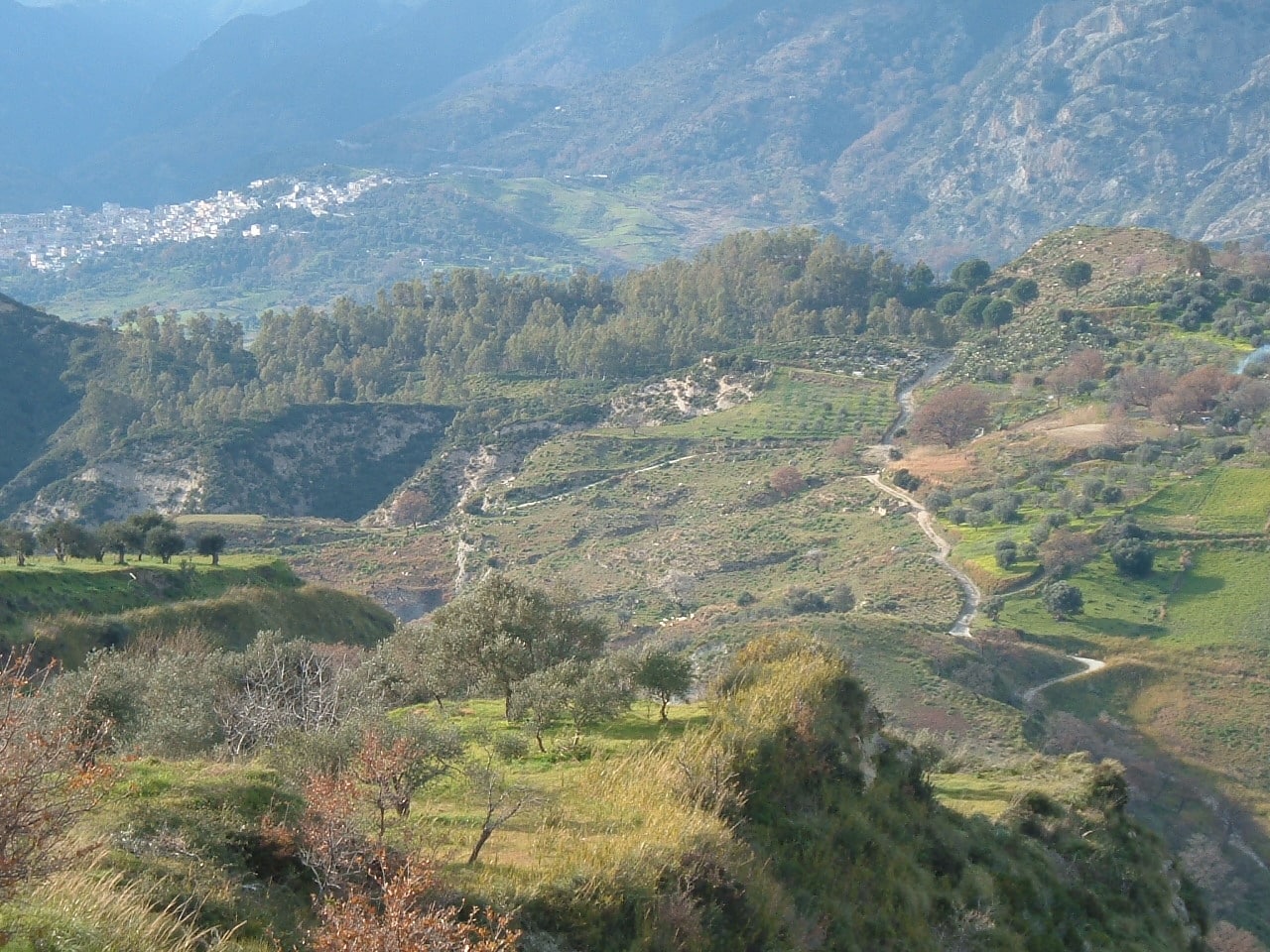 Parco archeologico di Portigliola e Teatro Greco-Romano 
