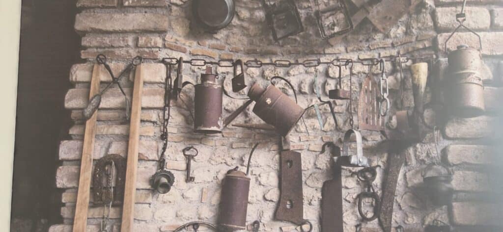 WhatsApp Image 2025 05 20 at 16 51 14 (1)