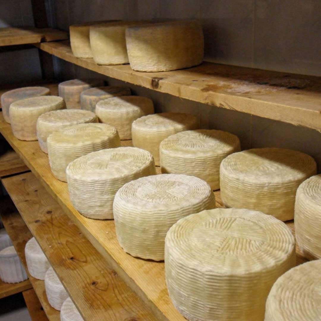 Cheeses from Locride