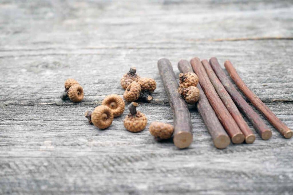 Liquirizia di Calabria DOP